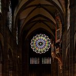 Straßburger Münster - Orgel und Fensterrose
