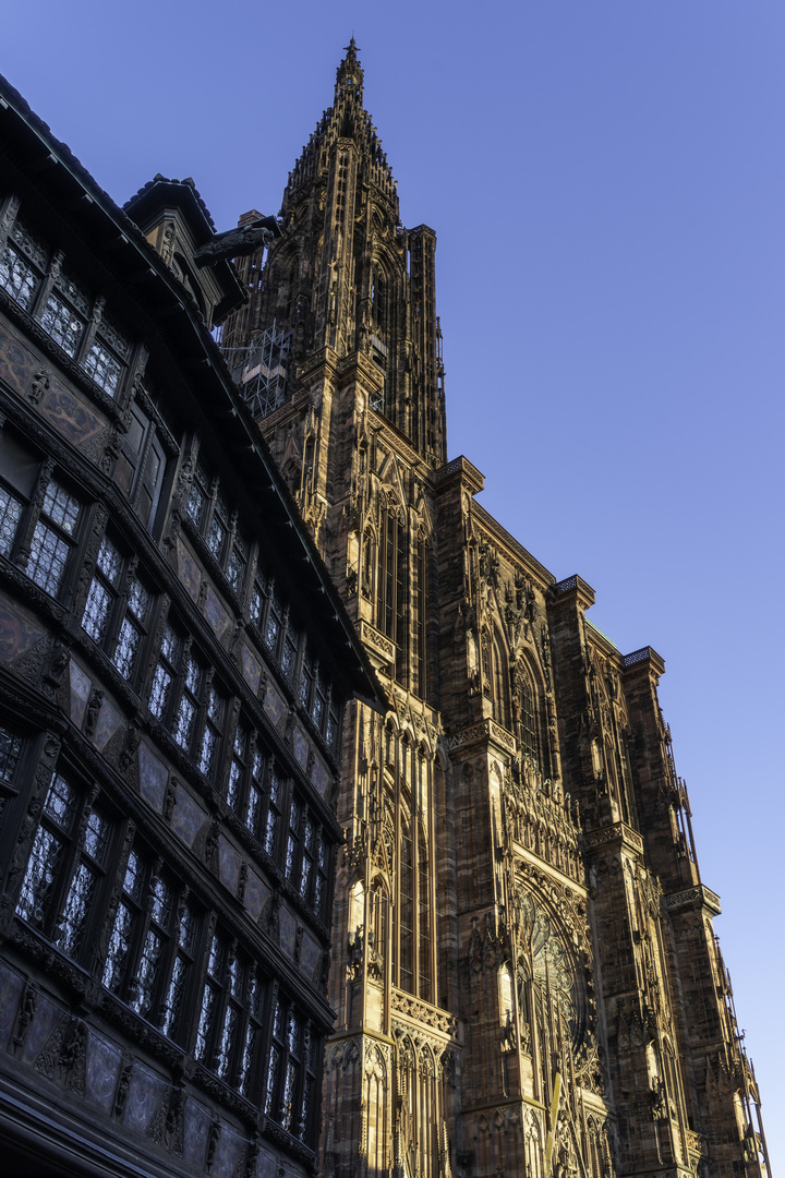 Straßburger Münster und Haus Kammerzell