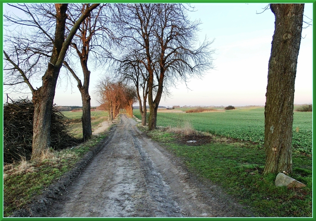 Straße 1914 oder 2014