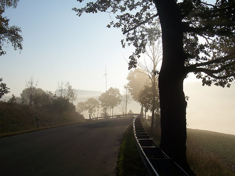 Straße am Morgen bei Mödlareuth