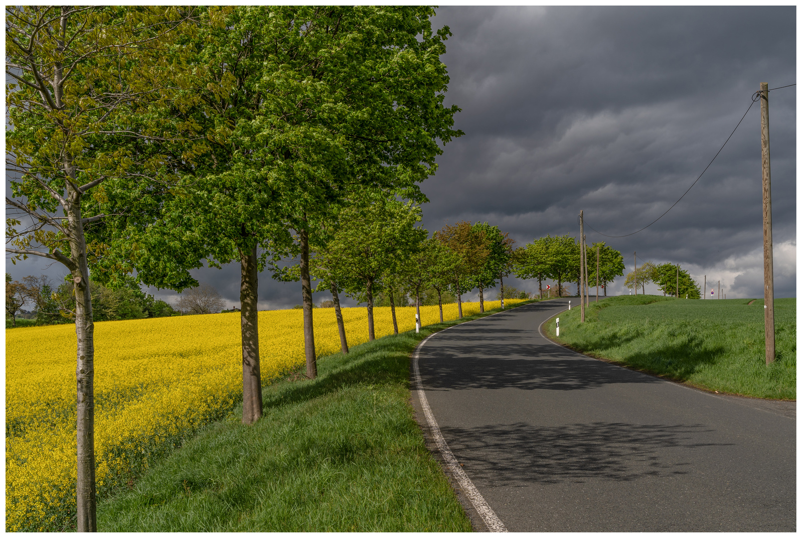 Strasse am Rapsfeld