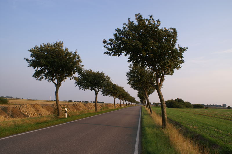 Strasse auf Fehmarn