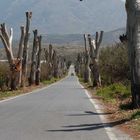 Strasse auf Kreta