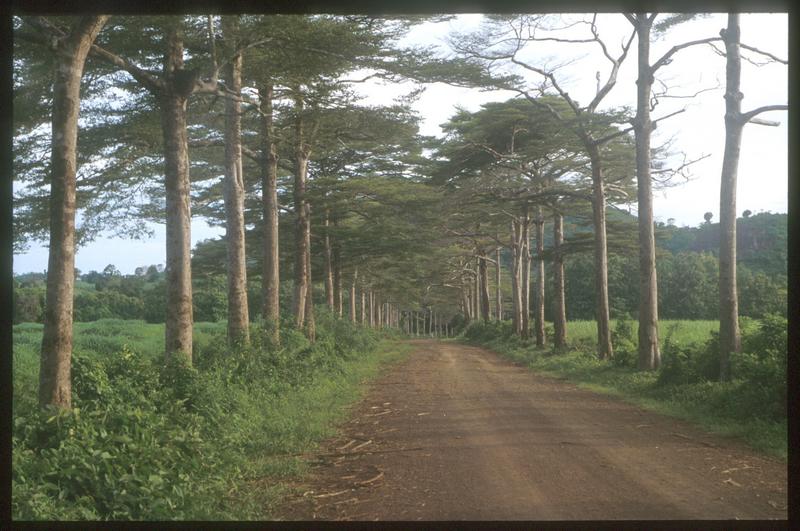 Strasse auf Nosy Be