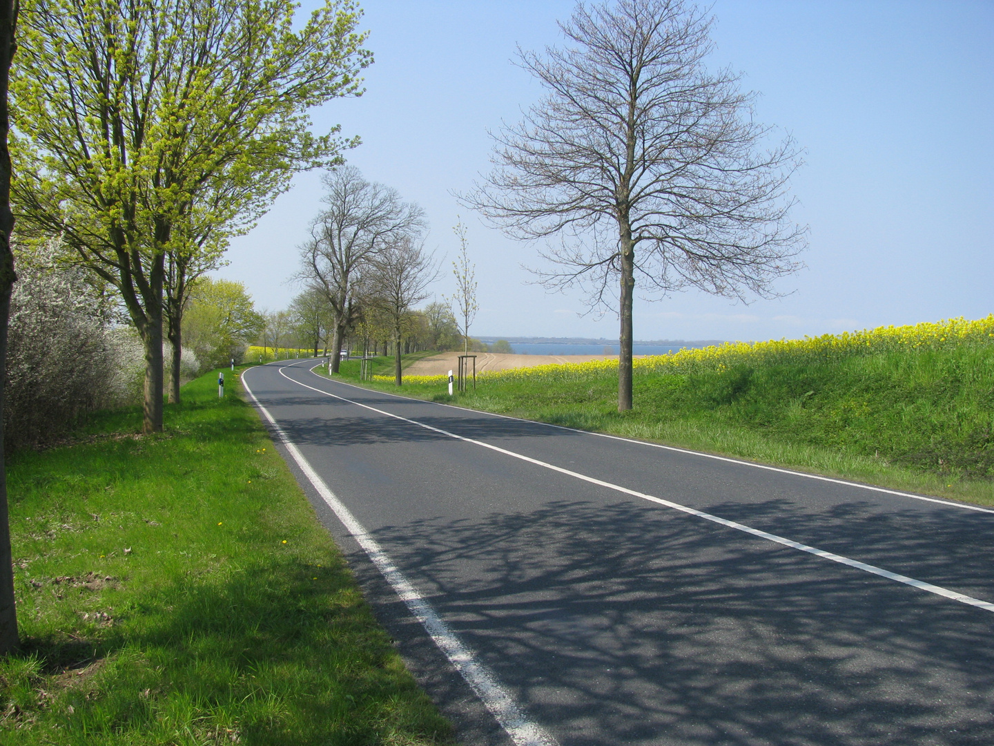 Straße bei Hohenkirchen mit Blick zur Wohlenberger Wiek