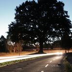 Straße bei Nacht