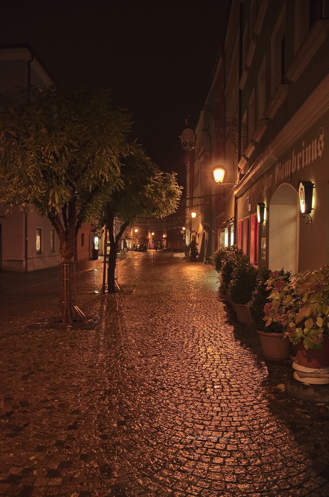 Straße bei Nacht I