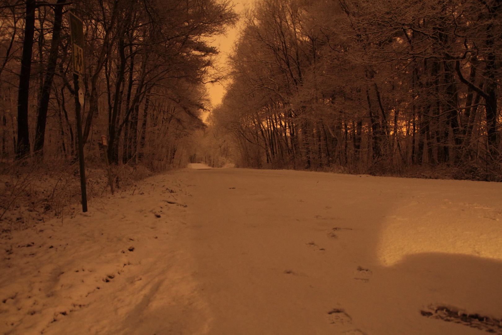 Straße bei Nacht und Schnee