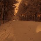 Straße bei Nacht und Schnee