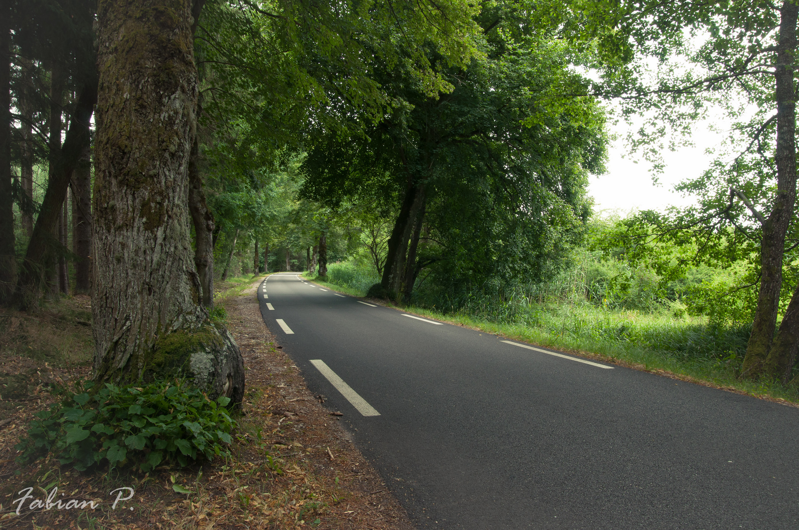 Straße der Träume