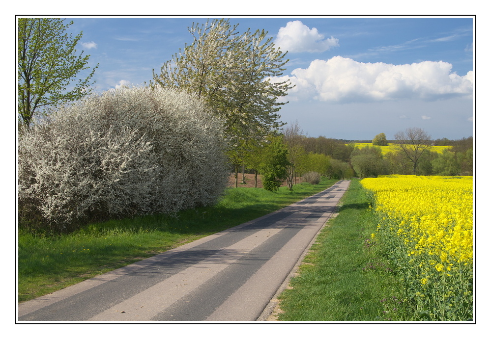 Straße des Frühlings