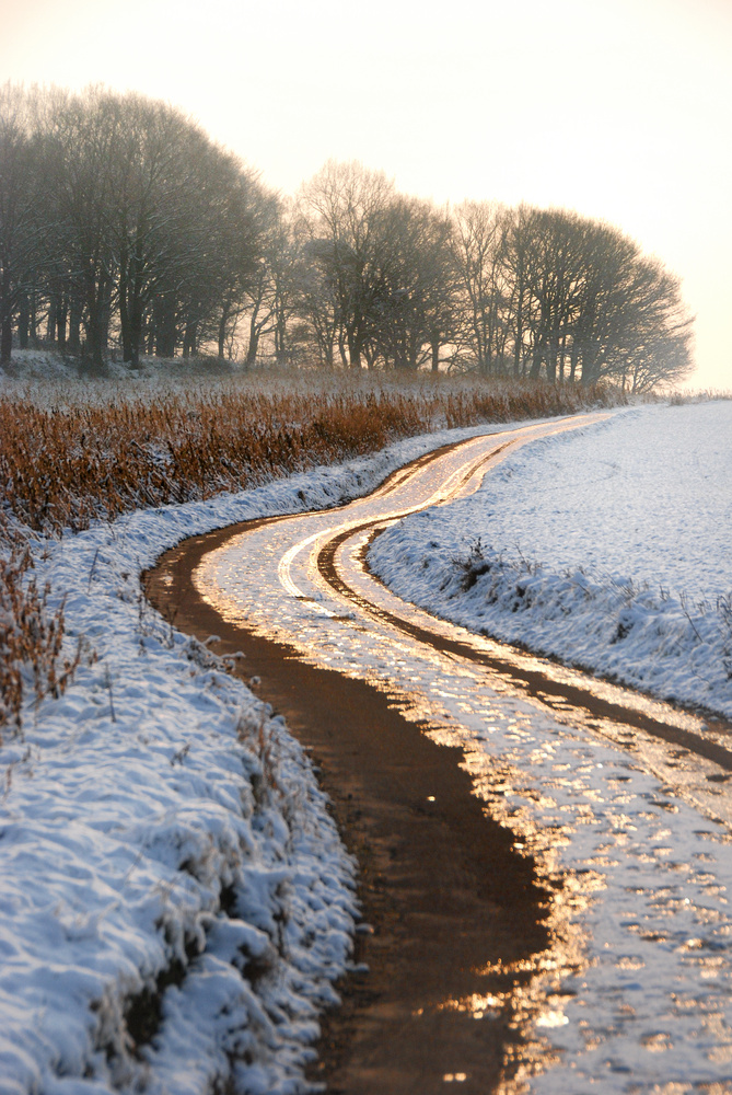 Straße des Lichts