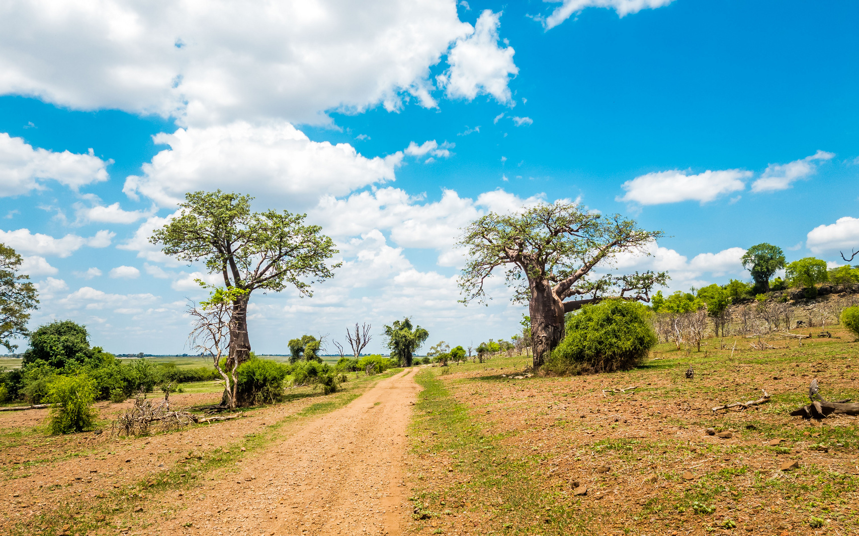 Strasse durch Chobe Nationalpark