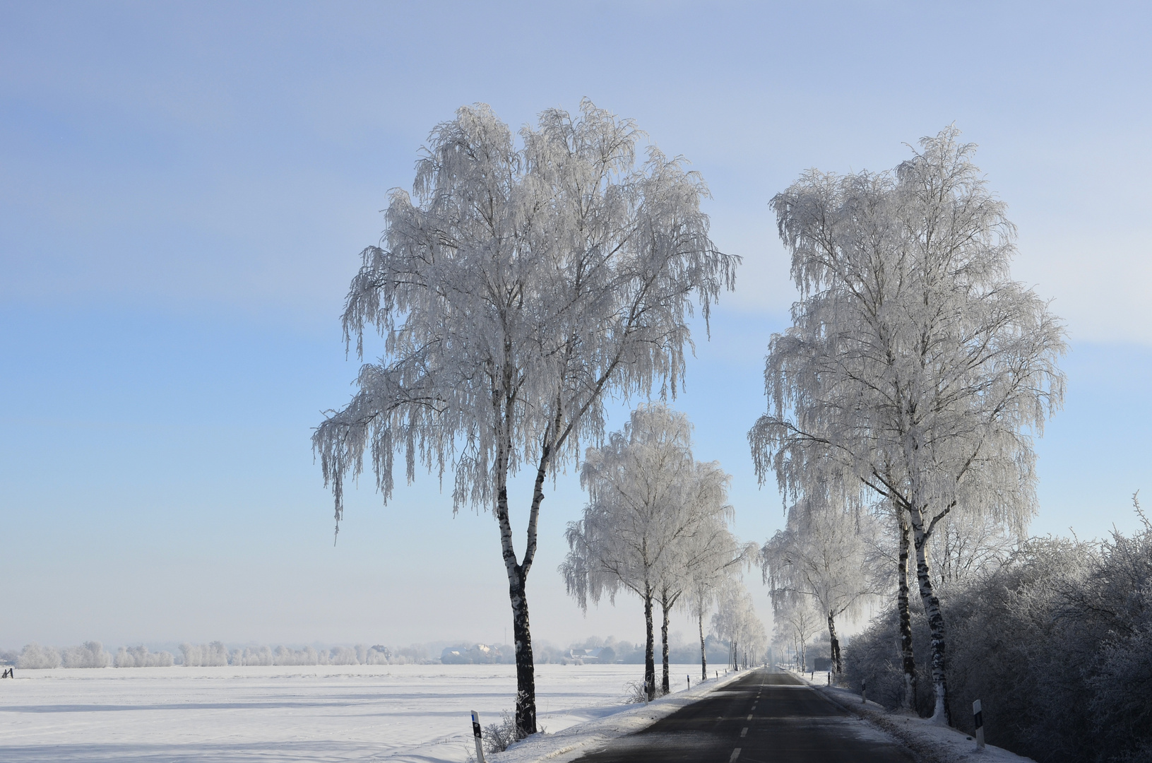 Straße durch den Frost