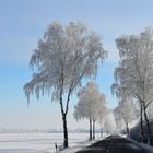 Straße durch den Frost