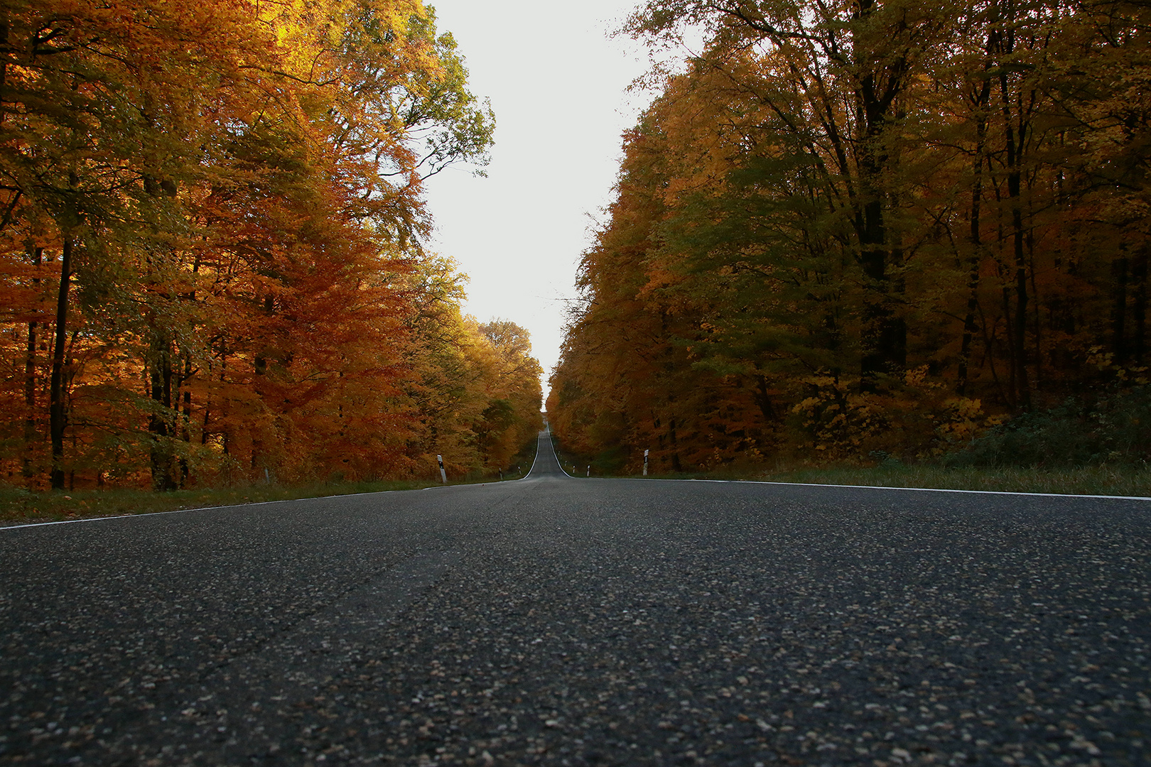 Straße durch den Herbst