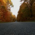 Straße durch den Herbst