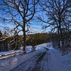 Straße durch den Winter