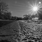 Straße gegen das Licht