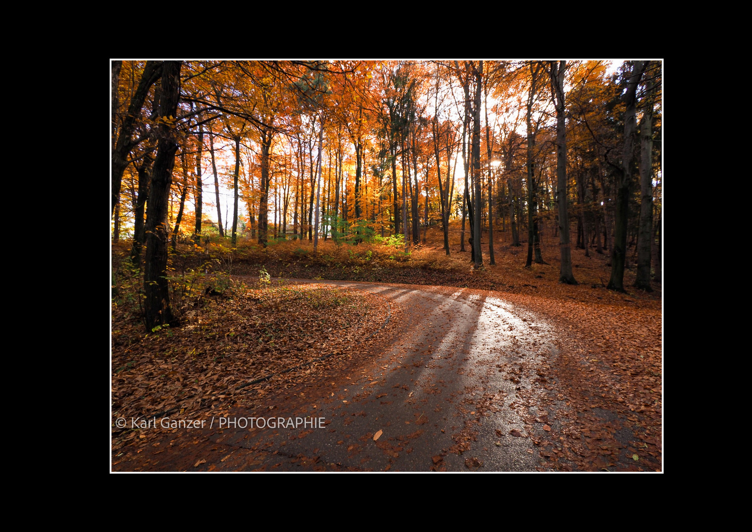 Straße im Buchenwald Herbst