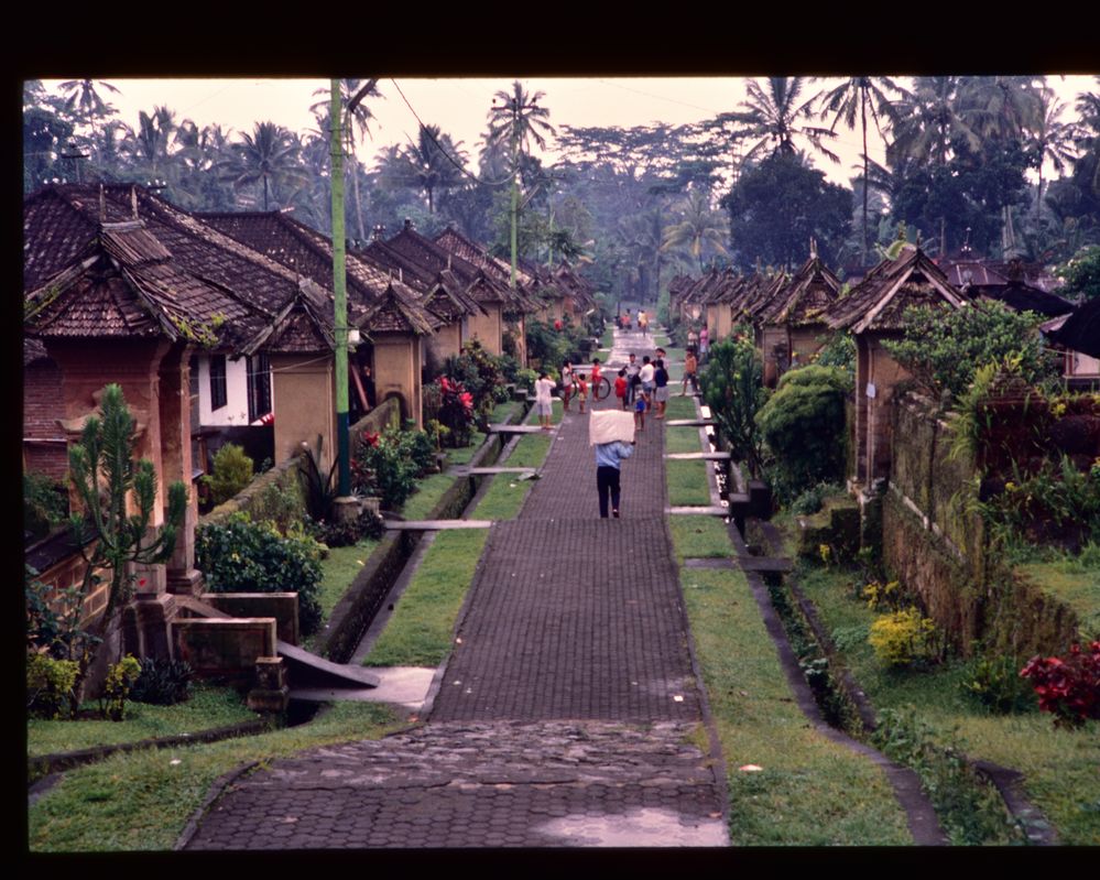 Strasse Im Dorf, Bali  .DSC_7328