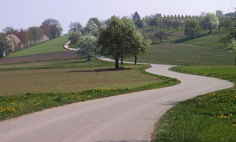 Strasse im Frühling