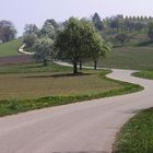 Strasse im Frühling