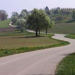 Strasse im Frühling