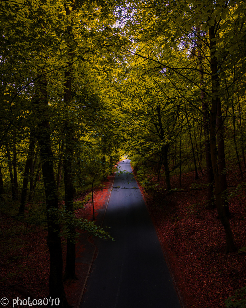 Straße im grünen. 