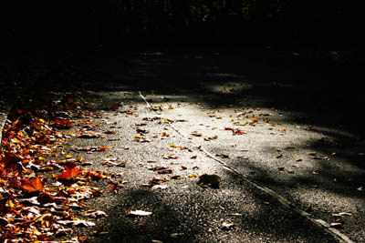 straße im herbst