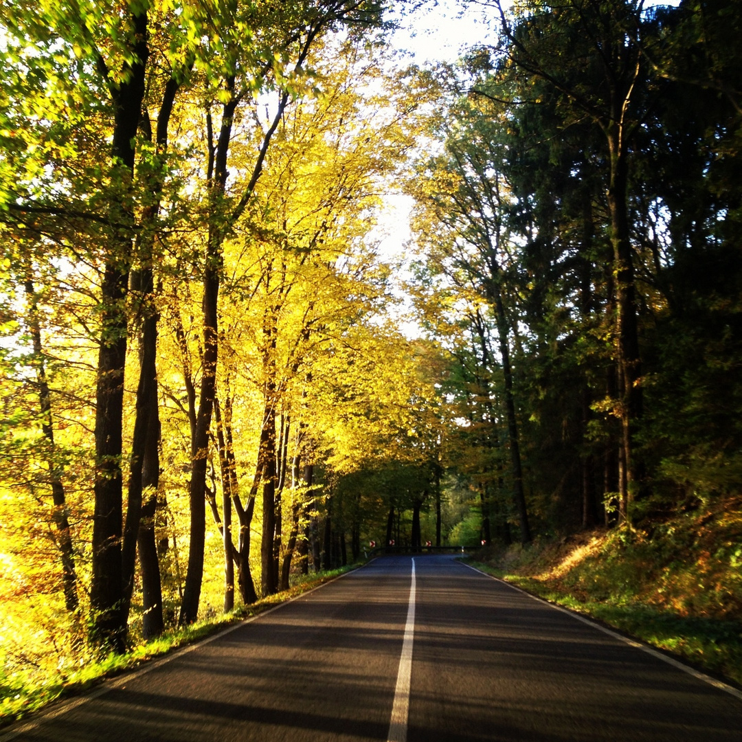 Straße im Herbst