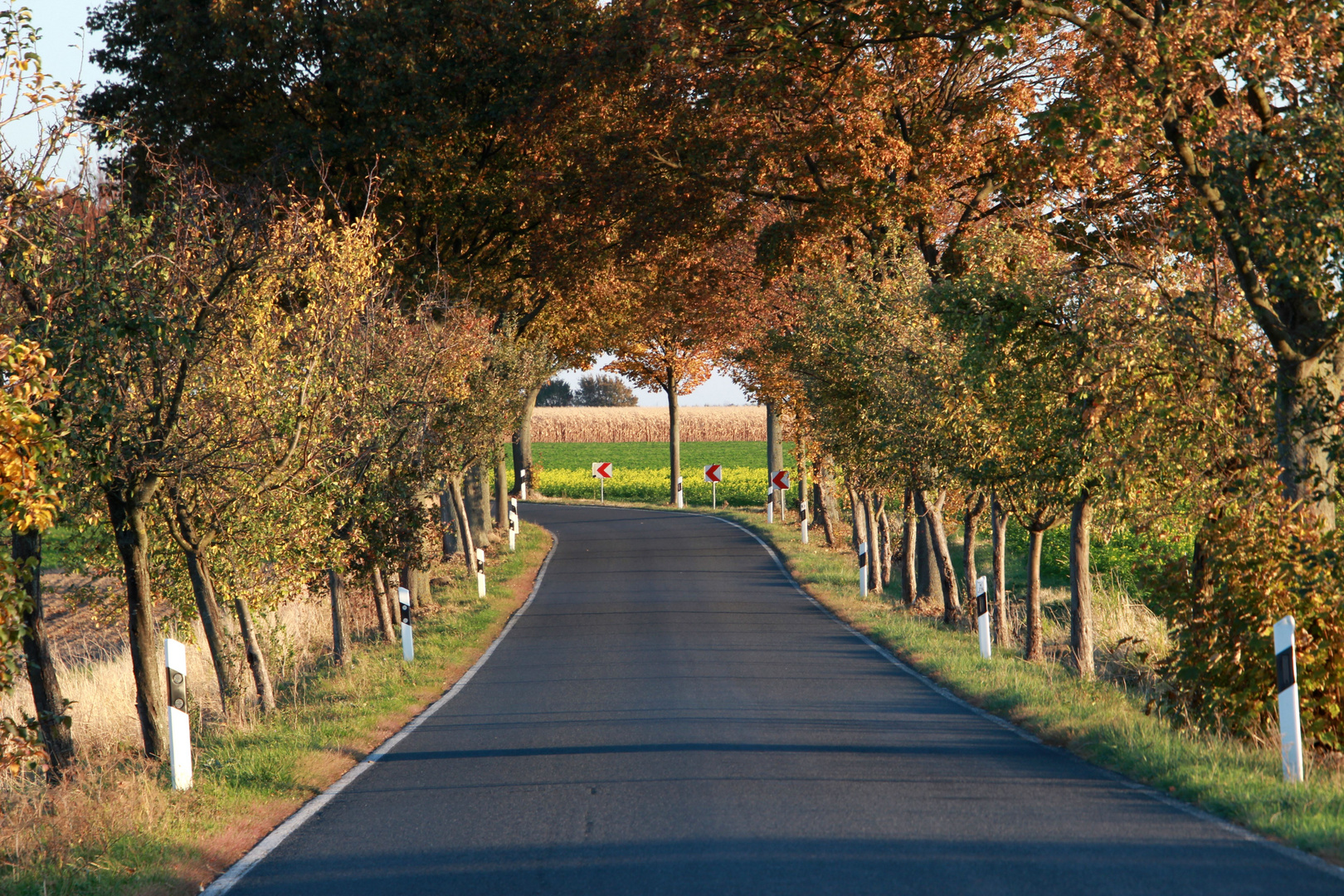 Straße im Herbst