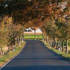 Straße im Herbst