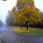 Straße im Herbst