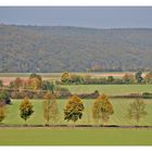 Straße im Herbst