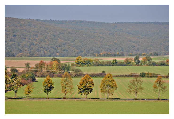 Straße im Herbst