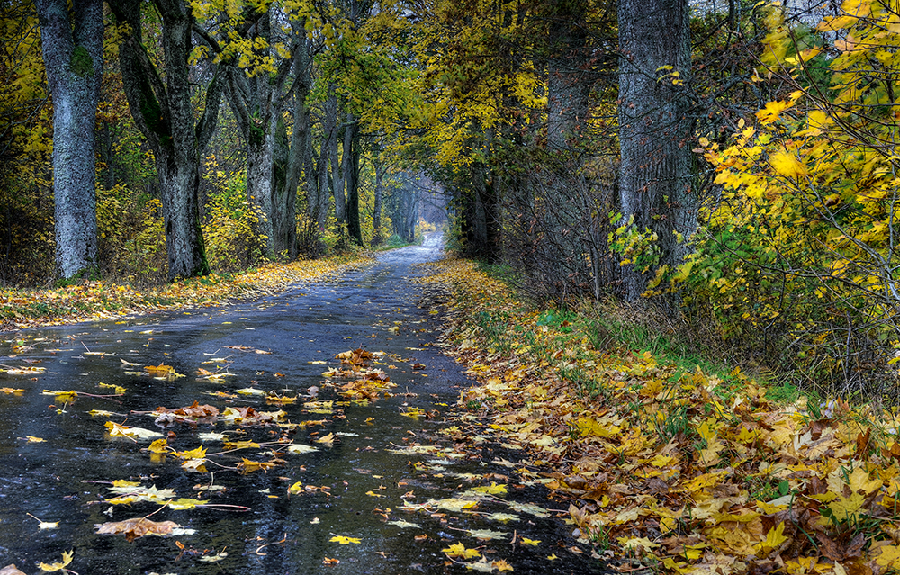 Straße im Herbst, Ermland