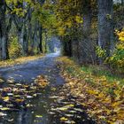 Straße im Herbst, Ermland