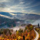 Strasse im Herbstnebel 