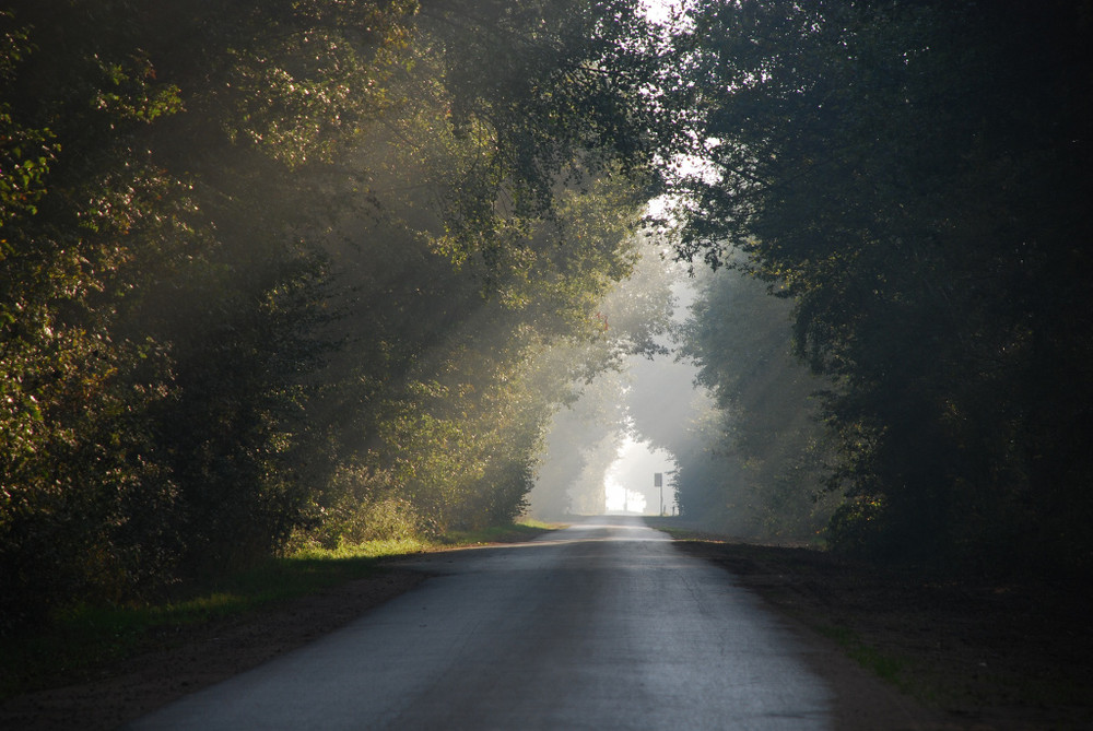 Straße im Morgendunst