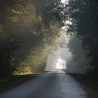 Straße im Morgendunst