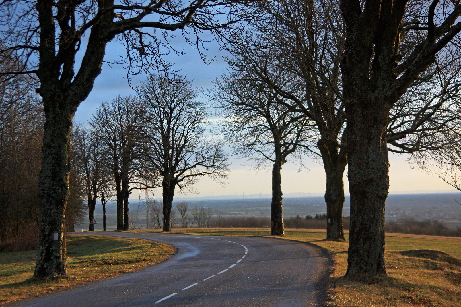 Straße im Morgenlicht