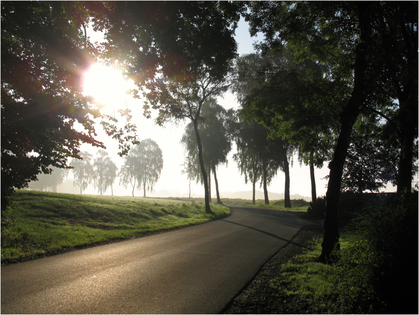 Straße im Morgenlicht