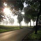 Straße im Morgenlicht