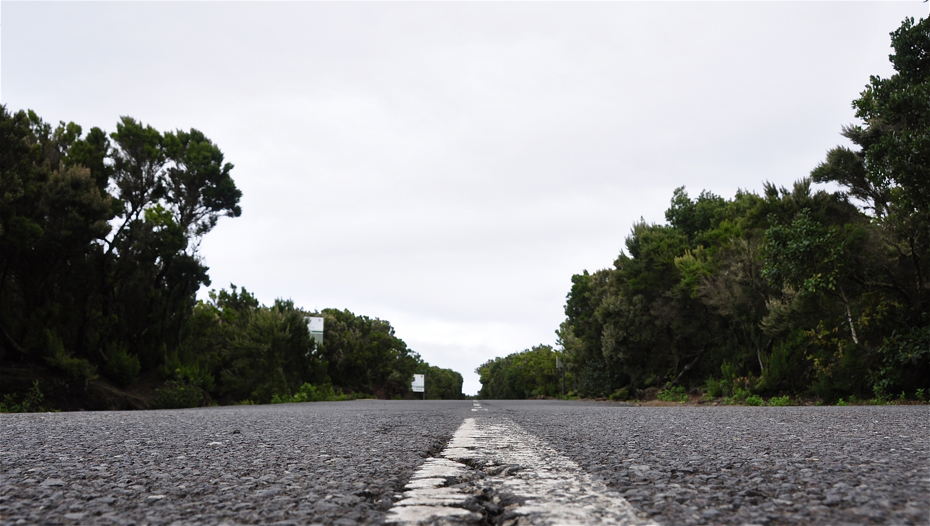 Strasse im Nationalpark Garajonay auf La Gomera