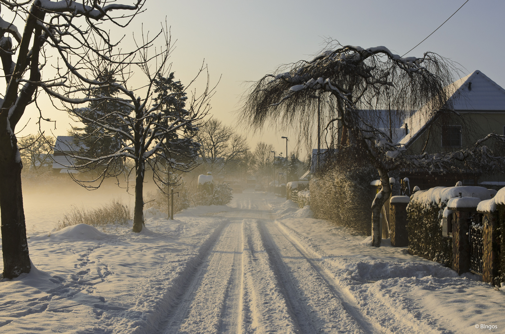 Straße im Nebel