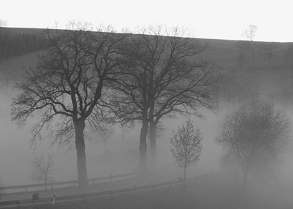 Straße im Nebel