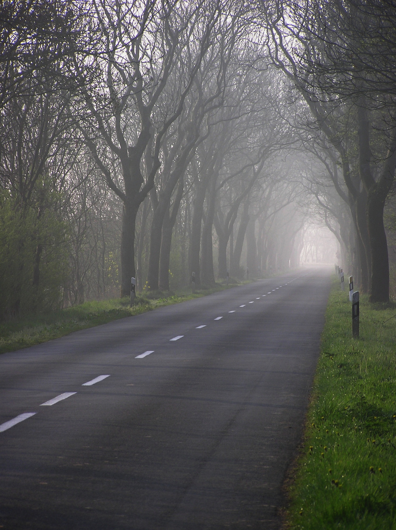 Straße im Nebel