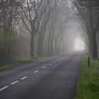 Straße im Nebel