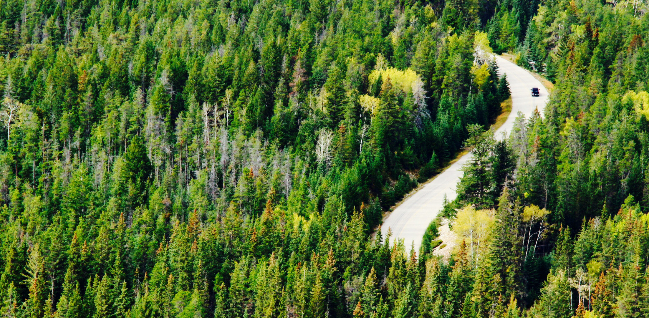 Straße im Nirgendwo